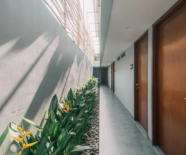 Bestah Coliving * サヌール